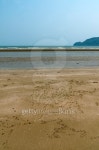 Traces of crabs on sandy beach in Thailand 이미지 (475570972) - 게티이미지뱅크 Traces of crabs on sandy beach in Thailand