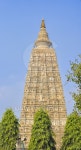 Mahabodhi Temple complex 이미지 (466488776) - 게티이미지뱅크 Mahabodhi Temple complex