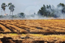 Rice field is burning to prepare ground 이미지 (485123532) - 게티이미지뱅크 Rice field is burning to prepare ground