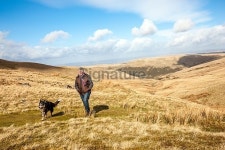 Mature man and dog hiking in Wales 이미지 (464927788) - 게티이미지뱅크 Mature man and dog hiking in Wales