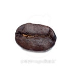 Roasted coffee beans 이미지 (492909764) - 게티이미지뱅크 Roasted coffee beans