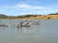 Pilanesberg Game Reserve 이미지 (474210024) - 게티이미지뱅크 Pilanesberg Game Reserve