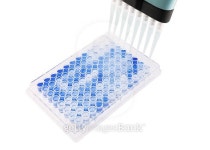 multichannel pipette test sample 이미지 (495199406) - 게티이미지뱅크 multichannel pipette test sample