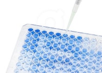 pipette test sample on plate 이미지 (495200074) - 게티이미지뱅크 pipette test sample on plate