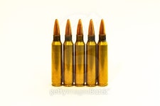 Five .223 Remington Rifle Cartridges 이미지 (483287800) - 게티이미지뱅크 Five .223 Remington Rifle Cartridges
