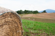 Landscape panorama, hills and meadow 이미지 (465719626) - 게티이미지뱅크 Landscape panorama, hills and meadow