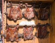 피그헤드 랩(Pighead lab) | Smoked dry skin pig head 이미지 (475440190) - 게티이미지뱅크 Smoked dry skin pig head