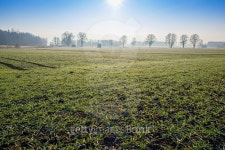 November morning 이미지 (502989804) - 게티이미지뱅크 November morning