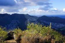 The View at the Top of Koko Head Crater 이미지 (478394822) - 게티이미지뱅크 The View at the Top of Koko Head Crater