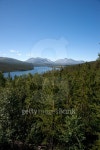 Lake in the forest, Sohlbergplassen - Rondane National Park, Norway 이미지 (487418976) - 게티이미지뱅크 Lake in the forest... 