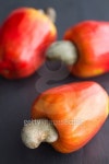 땡큐푸르트(Fruit) | Cajú tropical fruit 이미지 (531866709) - 게티이미지뱅크 Cajú tropical fruit