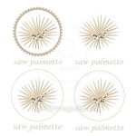 saw palmetto 이미지 (483257044) - 게티이미지뱅크 saw palmetto