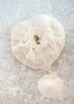 Bread gough on the worktop. 이미지 (474858688) - 게티이미지뱅크 Bread gough on the worktop.