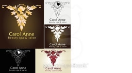 Carol Anne Spa & Salon, Feminism, Elegant & Beautiful Logo 이미지 (496432028) - 게티이미지뱅크 Carol Anne Spa & Salon... 