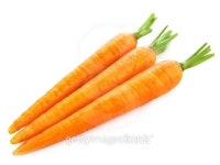 carrot 이미지 (491963692) - 게티이미지뱅크 carrot
