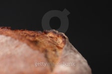 Pain bio 이미지 (503054062) - 게티이미지뱅크 Pain bio