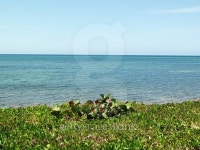 Good Looking Anco Playa Beach In Trinidad Cuba 이미지 (478305860) - 게티이미지뱅크 Good Looking Anco Playa Beach In Trinidad Cuba
