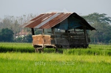 Farmer shelter 이미지 (531721671) - 게티이미지뱅크 Farmer shelter