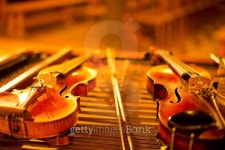 violin string instrument 이미지 (492485658) - 게티이미지뱅크 violin string instrument