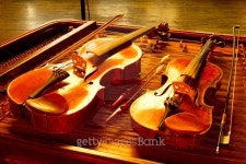 violin string instrument 이미지 (493697078) - 게티이미지뱅크 violin string instrument