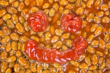 Baked beans with ketchup smile 이미지 (478343638) - 게티이미지뱅크 Baked beans with ketchup smile