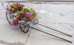 cart with flowers 이미지 (498650582) - 게티이미지뱅크 cart with flowers