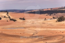 Rural Winter Farming Landscape 이미지 (498453936) - 게티이미지뱅크 Rural Winter Farming Landscape