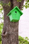 Green birdhouse hanging from a tree 이미지 (499509638) - 게티이미지뱅크 Green birdhouse hanging from a tree