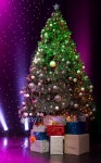 Beautiful Christmas decorations 이미지 (501826916) - 게티이미지뱅크 Beautiful Christmas decorations