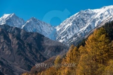 Snowy mountains and autumn leaves 이미지 (495633812) - 게티이미지뱅크 Snowy mountains and autumn leaves
