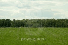 green field and trees 이미지 (499691652) - 게티이미지뱅크 green field and trees