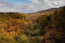 Mountains of autumn leaves 이미지 (492914850) - 게티이미지뱅크 Mountains of autumn leaves