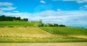 Italian field scenario 이미지 (477180828) - 게티이미지뱅크 Italian field scenario