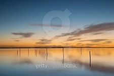 Golden twilight 이미지 (499685476) - 게티이미지뱅크 Golden twilight