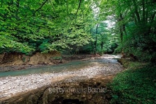 Psaho river 이미지 (482365878) - 게티이미지뱅크 Psaho river
