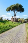 On the Appian Way 이미지 (484602902) - 게티이미지뱅크 On the Appian Way