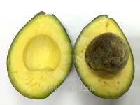 avocado on white background 이미지 (497814038) - 게티이미지뱅크 avocado on white background