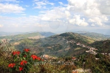Doi Mae Salong 이미지 (465039236) - 게티이미지뱅크 Doi Mae Salong