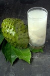 히솝플라워과일주스 | Soursop juice in glass with Fresh harvest soursop fruit 이미지 (493509268) - 게티이미지뱅크 Soursop juice in glass with Fresh...
