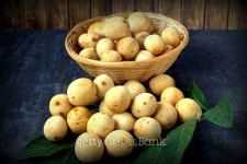 Tropical Fruit 이미지 (492891290) - 게티이미지뱅크 Tropical Fruit