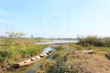 Boats in the swamps 이미지 (483190266) - 게티이미지뱅크 Boats in the swamps