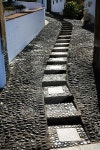 backlighting street 이미지 (495670712) - 게티이미지뱅크 backlighting street
