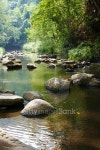 view of the stone in the creek 이미지 (502578938) - 게티이미지뱅크 view of the stone in the creek