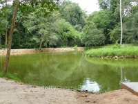 island in the middle of the pond 이미지 (485106540) - 게티이미지뱅크 island in the middle of the pond
