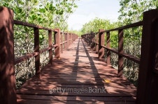 sunlight walkway walk wooden beach tour concept 이미지 (486295072) - 게티이미지뱅크 sunlight walkway walk wooden beach tour... 