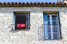 One red boxer at a window 이미지 (490343036) - 게티이미지뱅크 One red boxer at a window