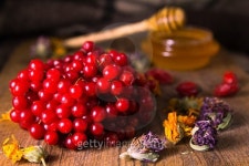 Honey and herbs 이미지 (533243867) - 게티이미지뱅크 Honey and herbs