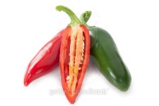 jalapenos Chili Peppers or Mexican chili peppers 이미지 (485742752) - 게티이미지뱅크 jalapenos Chili Peppers or Mexican chili... 