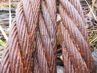 Closeup of rusty and weathered steel cables 이미지 (535167533) - 게티이미지뱅크 Closeup of rusty and weathered steel cables