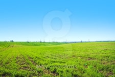 Green Field 이미지 (486734324) - 게티이미지뱅크 Green Field